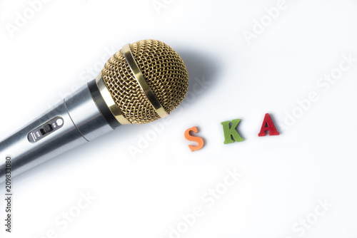 Принти на полотні Microphone on a white background with the words ska