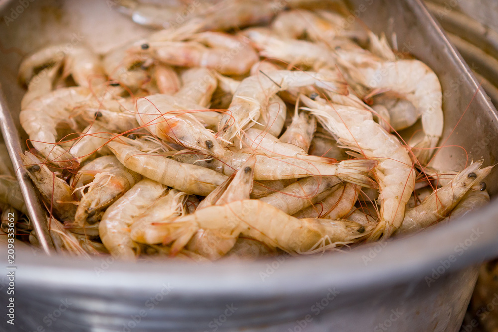 bucket full of shrimps at a local fish market somewhere in the south of india bucket full of shrimps at a local fish market somewhere in the south of india