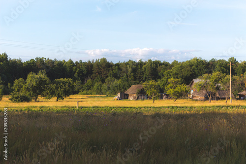 Summer time in the village of Belarus, Mirnoe