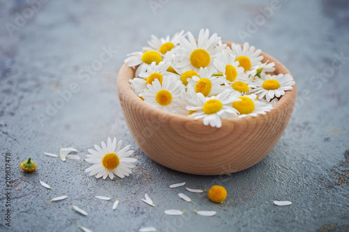 camomile or chamomile flowers