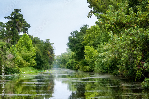 Fotografija Scene at a swamp river in Louisiana's bayou