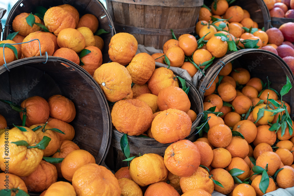 Citrus paradise: oranges and grapefruits in a picturesque baskets