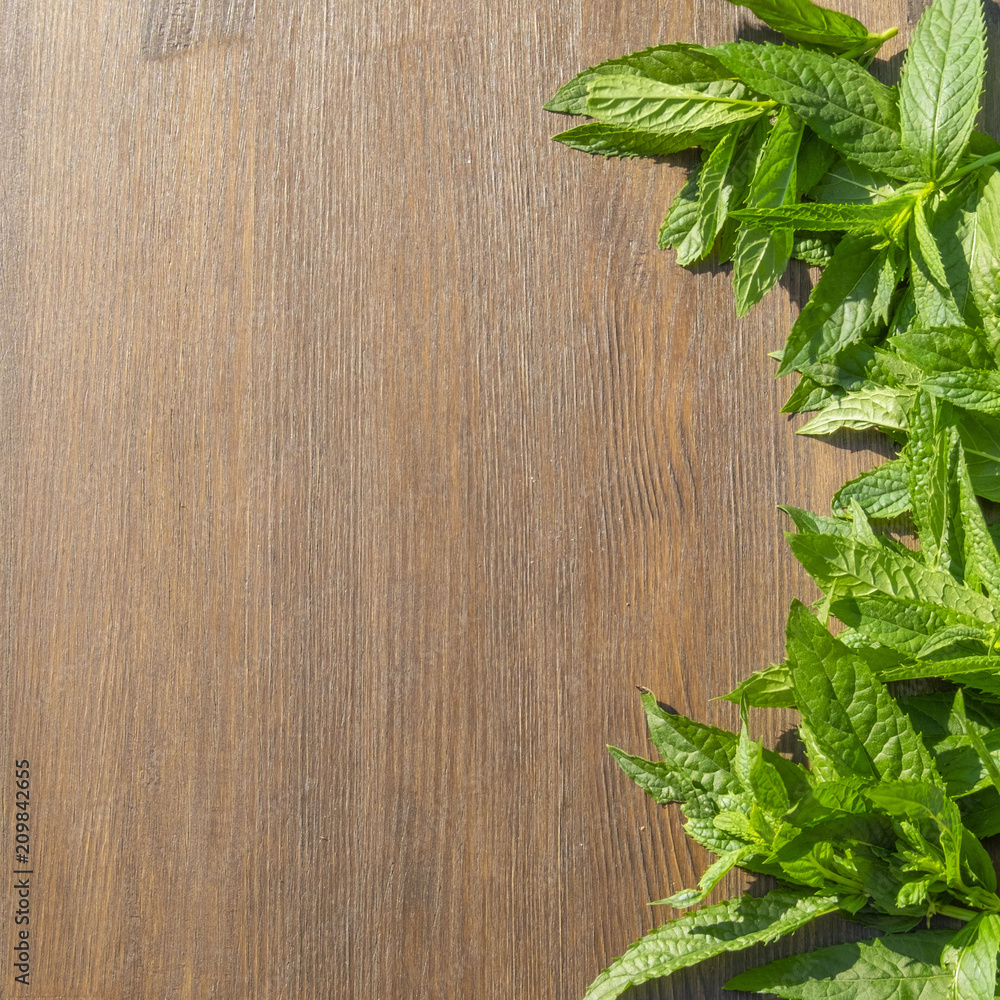 fresh mint on the wooden background fresh mint on the wooden background