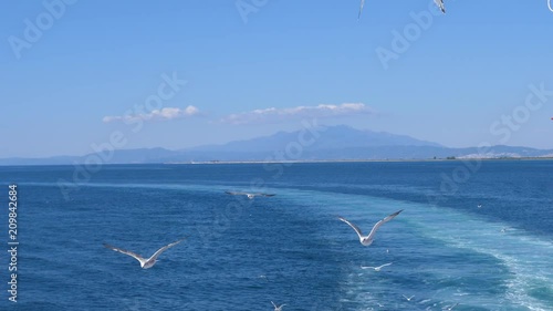 Sea gulls flying in blue sky by ferryboat deck - summer leisure travel in Greece Thassos