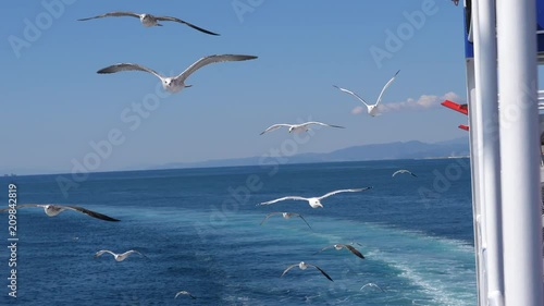 Sea gulls flying in blue sky by ferryboat deck - summer leisure travel in Greece Thassos