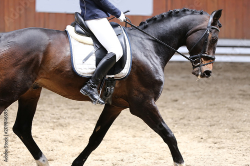 Unknown contestant rides at dressage horse event indoor in riding ground