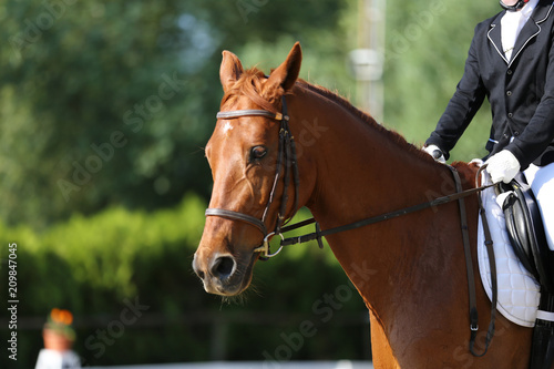 Unknown contestant rides at dressage horse event indoor in riding ground © acceptfoto