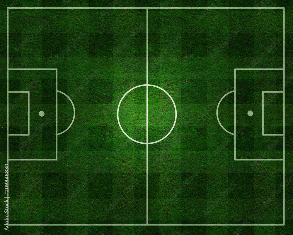 Fototapeta premium Real Green grass soccer field background