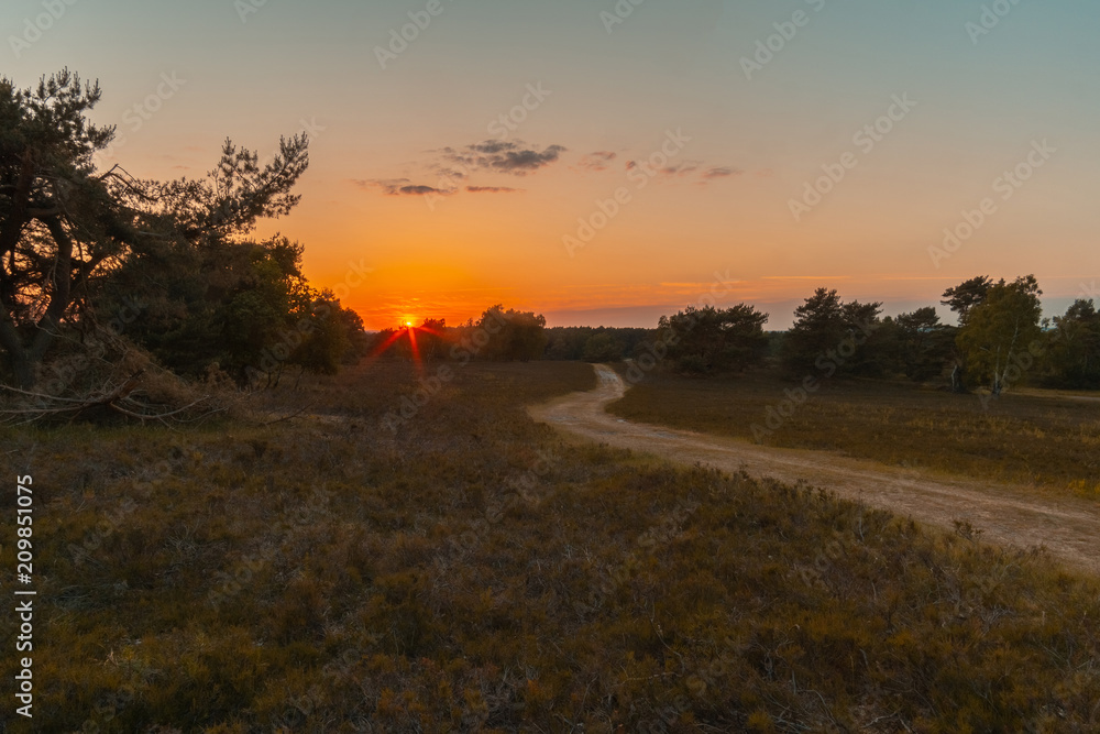 Sonnenuntergang in der Fischbeker Heide Sonnenuntergang in der Fischbeker Heide