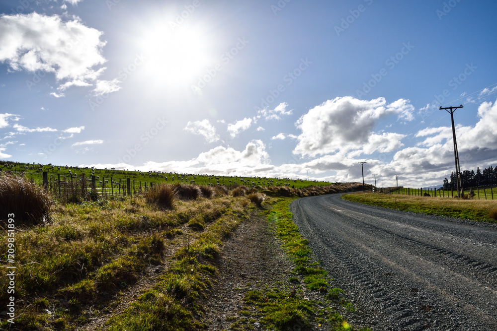 AUCKLAND, NEW ZEALAND - May 1,2016 : Road trip in New Zealand AUCKLAND, NEW ZEALAND - May 1,2016 : Road trip in New Zealand
