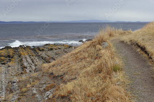 The Strait of Magellan at cloudy rainy day, trail along the stony shore with dry yellow grass. Patagonia, Chile. photo