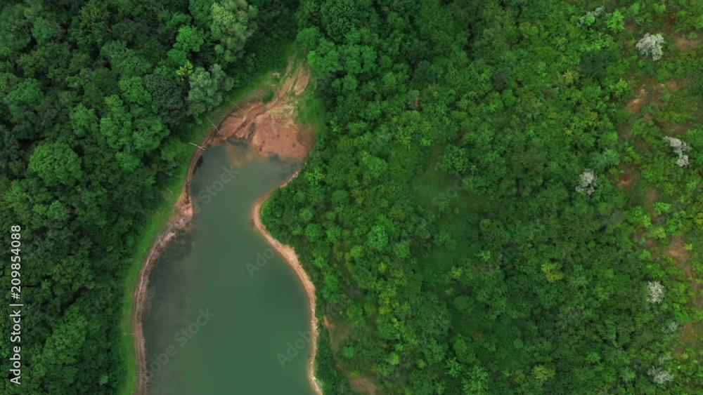 Aerial View from drone of forest with green trees and bay of river ...