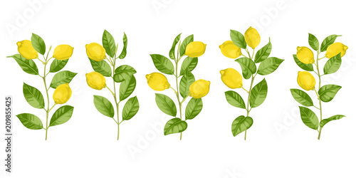 Lemon Brunches Set