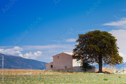 House near tree in the mountains © tarafoto