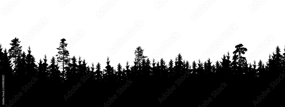 Seamless, wide silhouette of tree and forest peaks - isolated on white background
