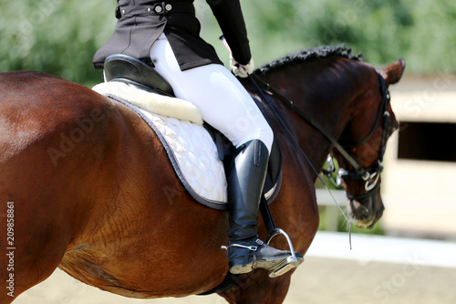 Portrait close up of dressage sport horse with unknown rider © acceptfoto