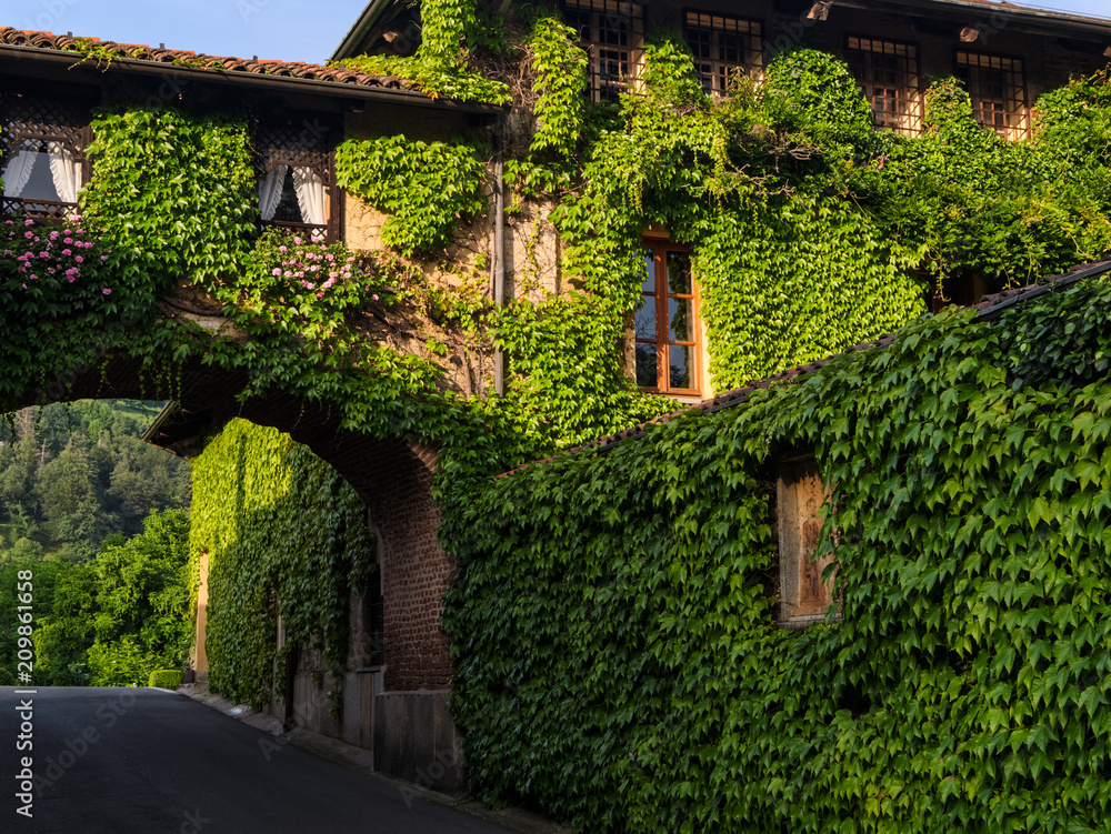 House with wall and arch in bricks covered with ivy, and old wooden windows, Italy