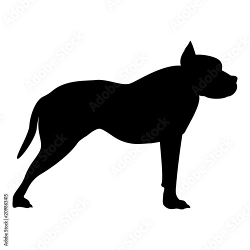 Pit bull terrier icon black color illustration flat style simple image
