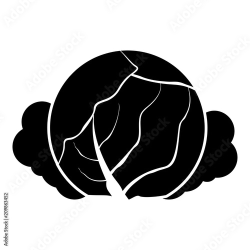 Cabbage icon black color illustration flat style simple image