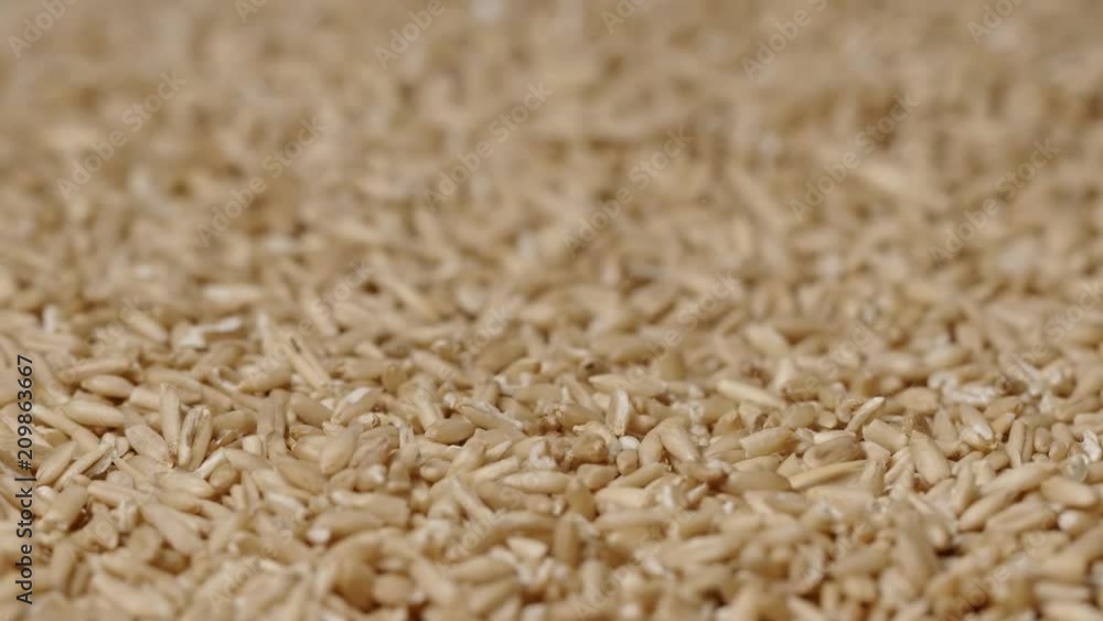 MACRO: Light explosion of oats - Slow motion MACRO: Light explosion of oats - Slow motion