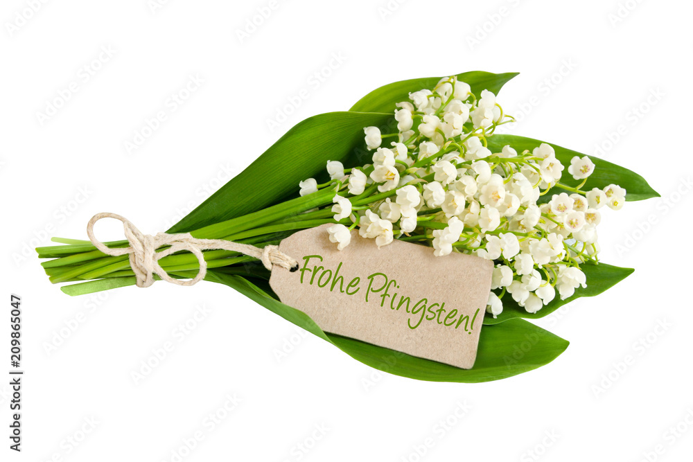 Obraz premium Frohe Pfingsten!