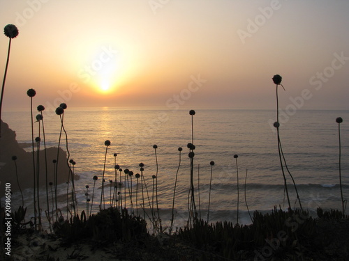 Costa Vicentina - Algarve - Portugal