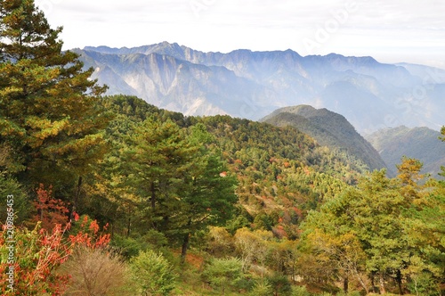 Beautiful mountain view in autumn in Alishan, Taiwan
