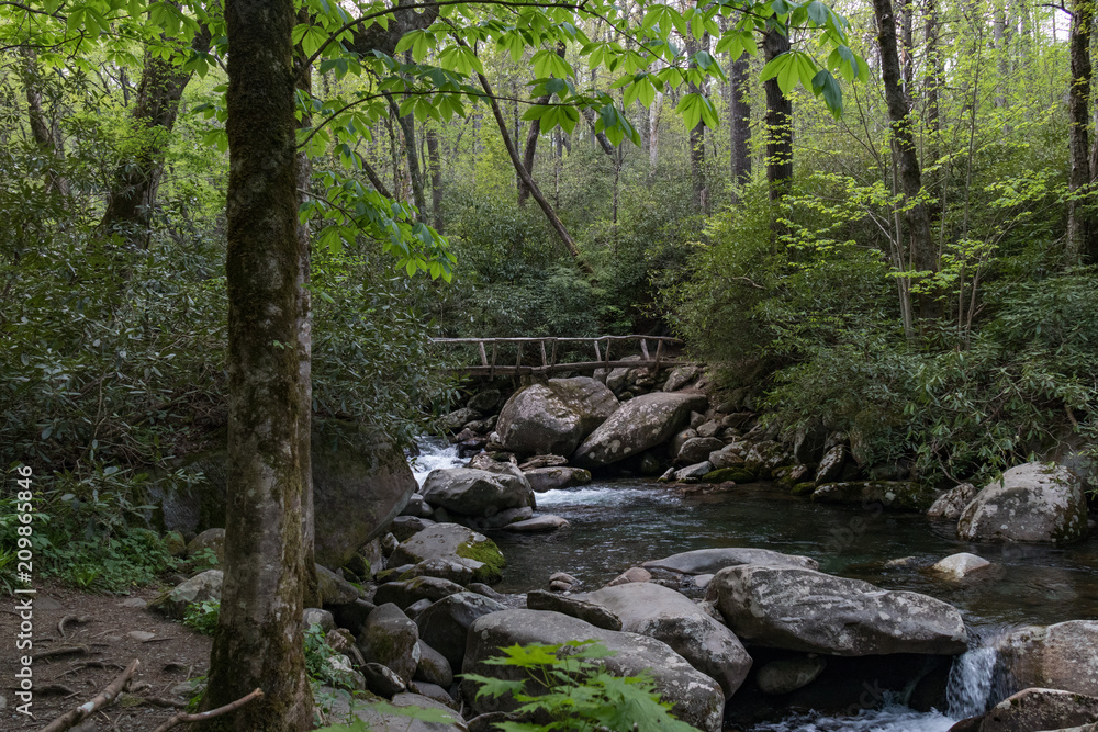 Foot bridge crossing over Porter's Creek, Great Smoky Mountains National Park Foot bridge crossing over Porter's Creek, Great Smoky Mountains National Park