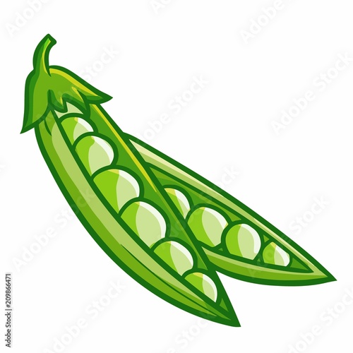 Funny and yummy green bean ready to cook - vector.