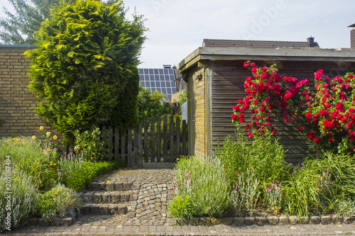 herbs and flowers in the garden photo