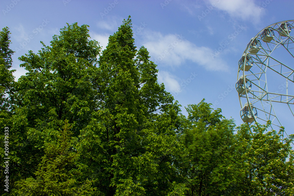 Fototapeta premium Ferris wheel and green trees in the park