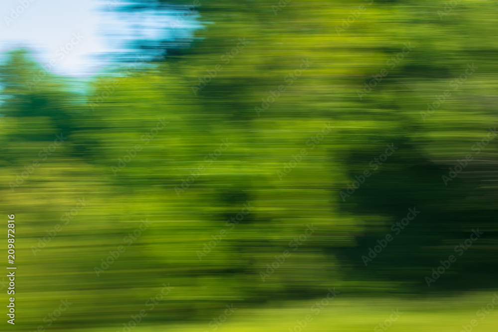 Nature in motion from the train window Nature in motion from the train window