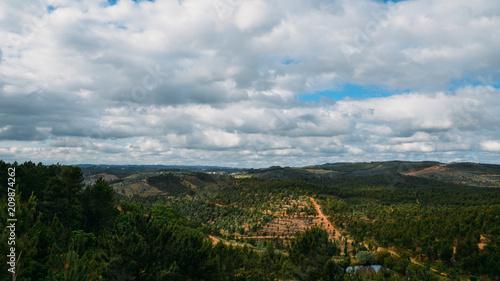Landscape of the Ribajeto, Santarem region of Central Portugal