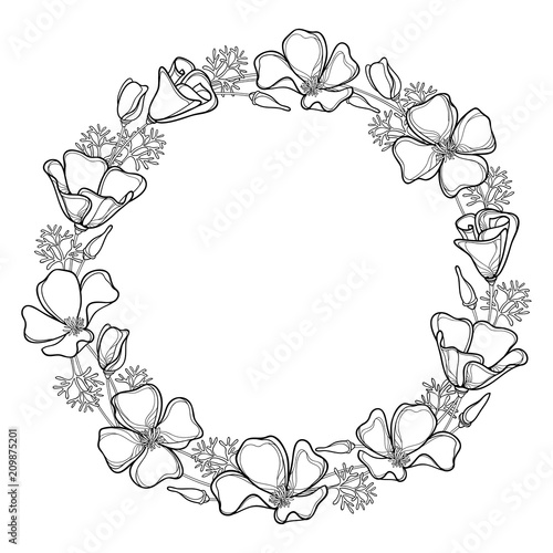 Fototapeta Naklejka Na Ścianę i Meble -  Vector round wreath of outline California poppy flower or California sunlight or Eschscholzia, leaf and bud in black isolated on white. Contour ornate poppy bunch for summer design or coloring book.