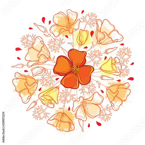 Fototapeta Naklejka Na Ścianę i Meble -  Vector round bouquet with outline orange California poppy flower or California sunlight or Eschscholzia, leaf and bud isolated on white background. Ornate contour poppies for enjoy summer design.