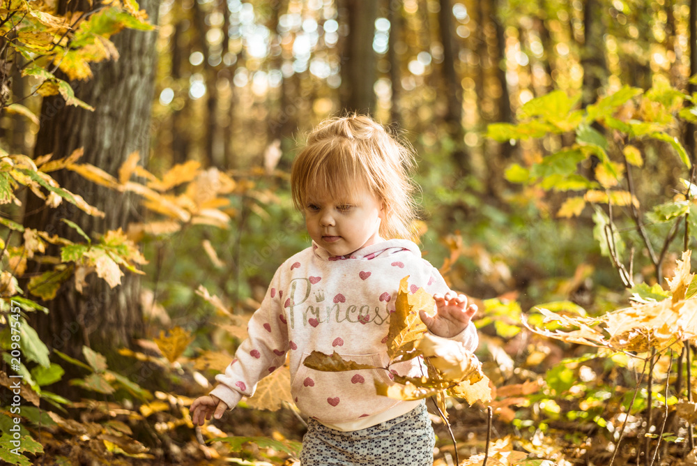 happy little child, baby girl laughing and playing in autumn park happy little child, baby girl laughing and playing in autumn park