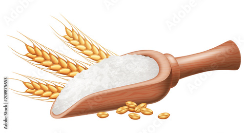 Wooden spoon with flour and wheat grain. Vector illustration.