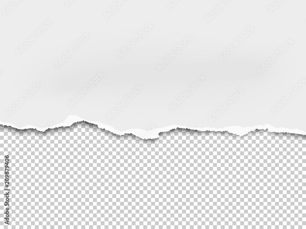 Torn a half sheet of white paper from the bottom placed on transparent  background. Vector template paper design. Stock Vector | Adobe Stock