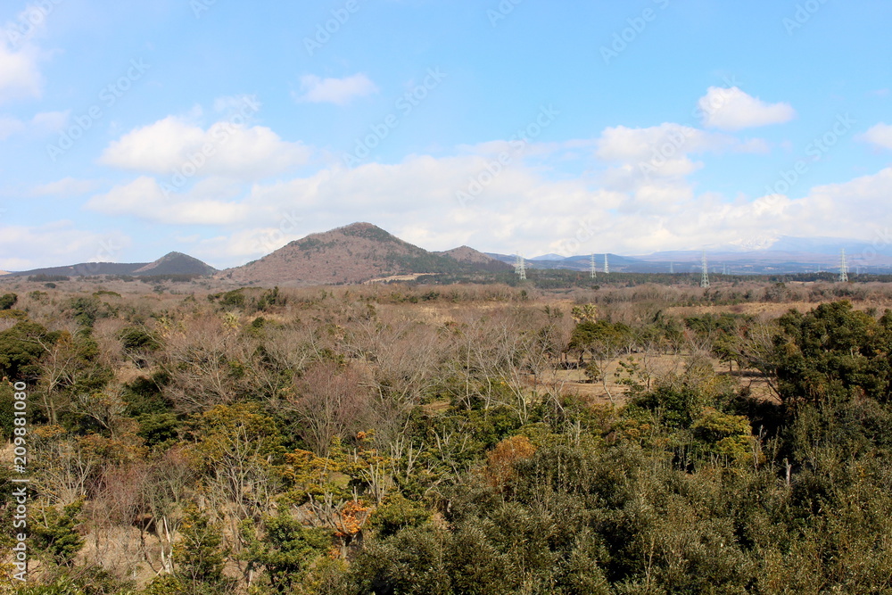 View mountain and forest at Jeju, Korea