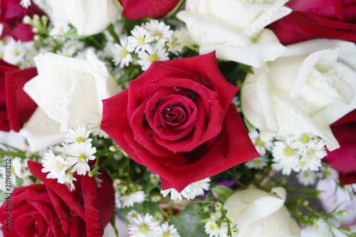 The red rose bouquet.