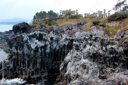 Jusangjeolli is a cliff made of basaltic columnar jointings at Jisatgae coast and one of the most famous