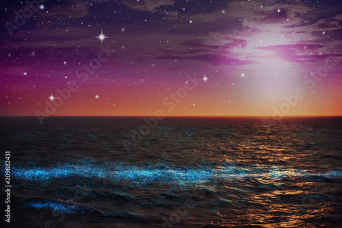 glowing phytoplankton in sea at night © hui_u