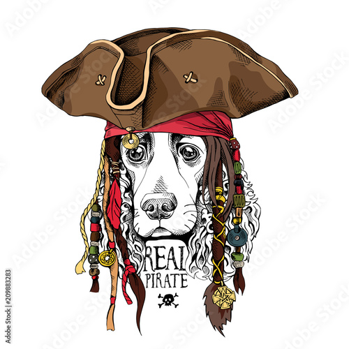 Portrait of a Spaniel dog in Pirate hat, bandana and with a dreadlocks. Vector illustration.