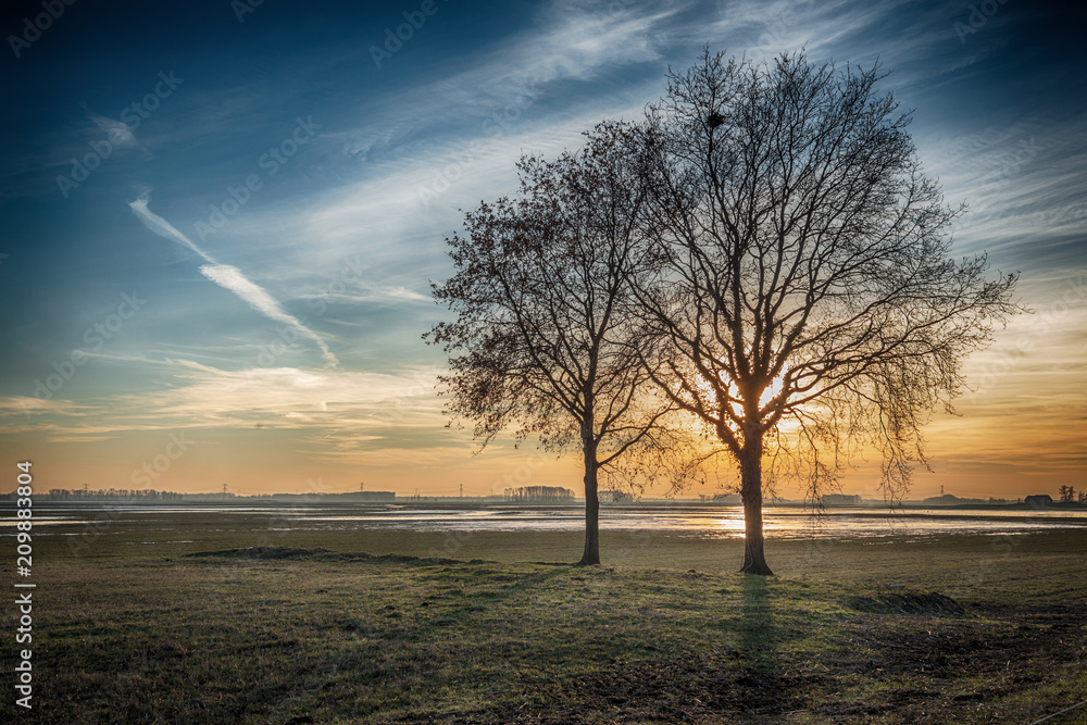 Fototapeta premium Dramatically colored rural landscape with two leafless trees silhouetted against the bright sun