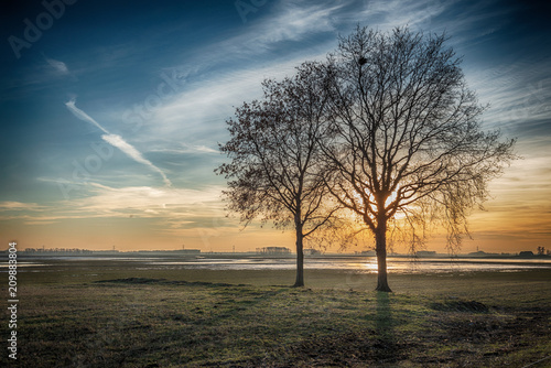 Dramatically colored rural landscape with two leafless trees silhouetted against the bright sun