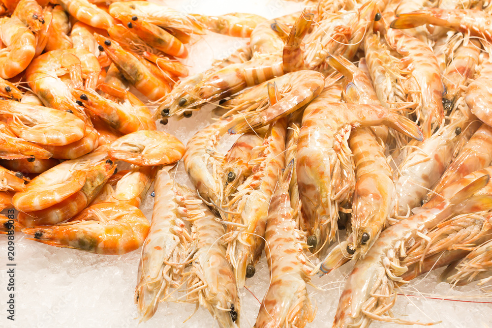 Shrimp in the fresh market. Shrimp in the fresh market.