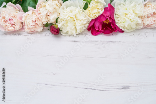 Colorful peonies border on white wooden background. Copy space  top view. Holiday background