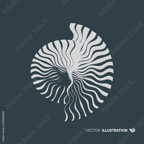 Nautilus shell. Abstract design element. 3D vector illustration.