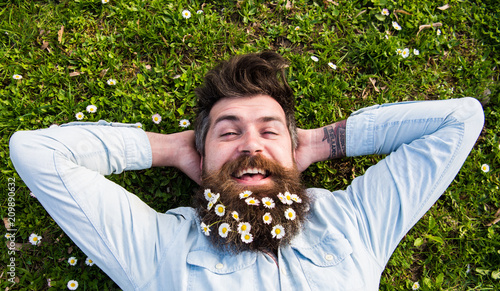 Spring holiday concept. Hipster on happy face lays on grass, top view. Man with beard and mustache enjoys spring, green meadow background. Guy looks nicely with daisy or chamomile flowers in beard.