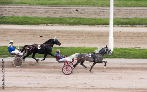 Fotografija horse racing, horse racing, horses, jockey, horseman, Hippodrome,bets, reins, ha